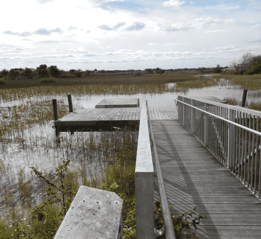 Chapel Trail Nature Preserve