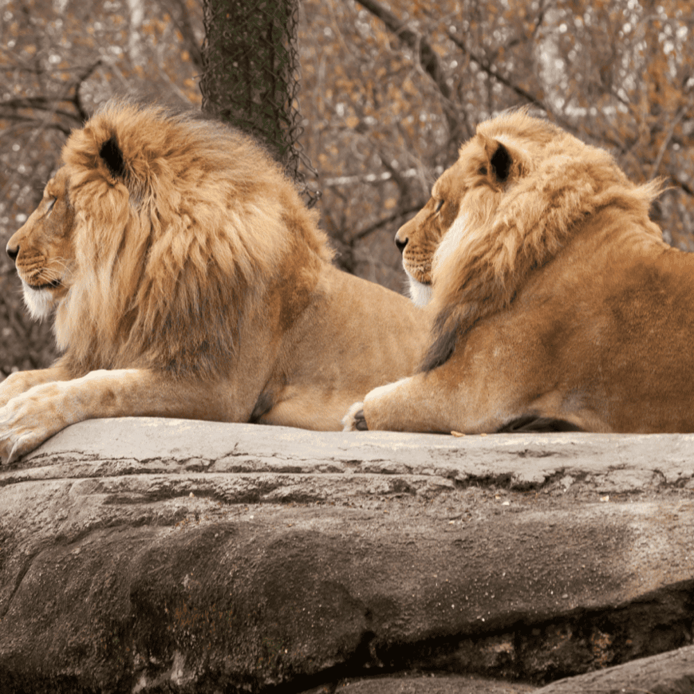 Pittsburgh Zoo & PPG Aquarium