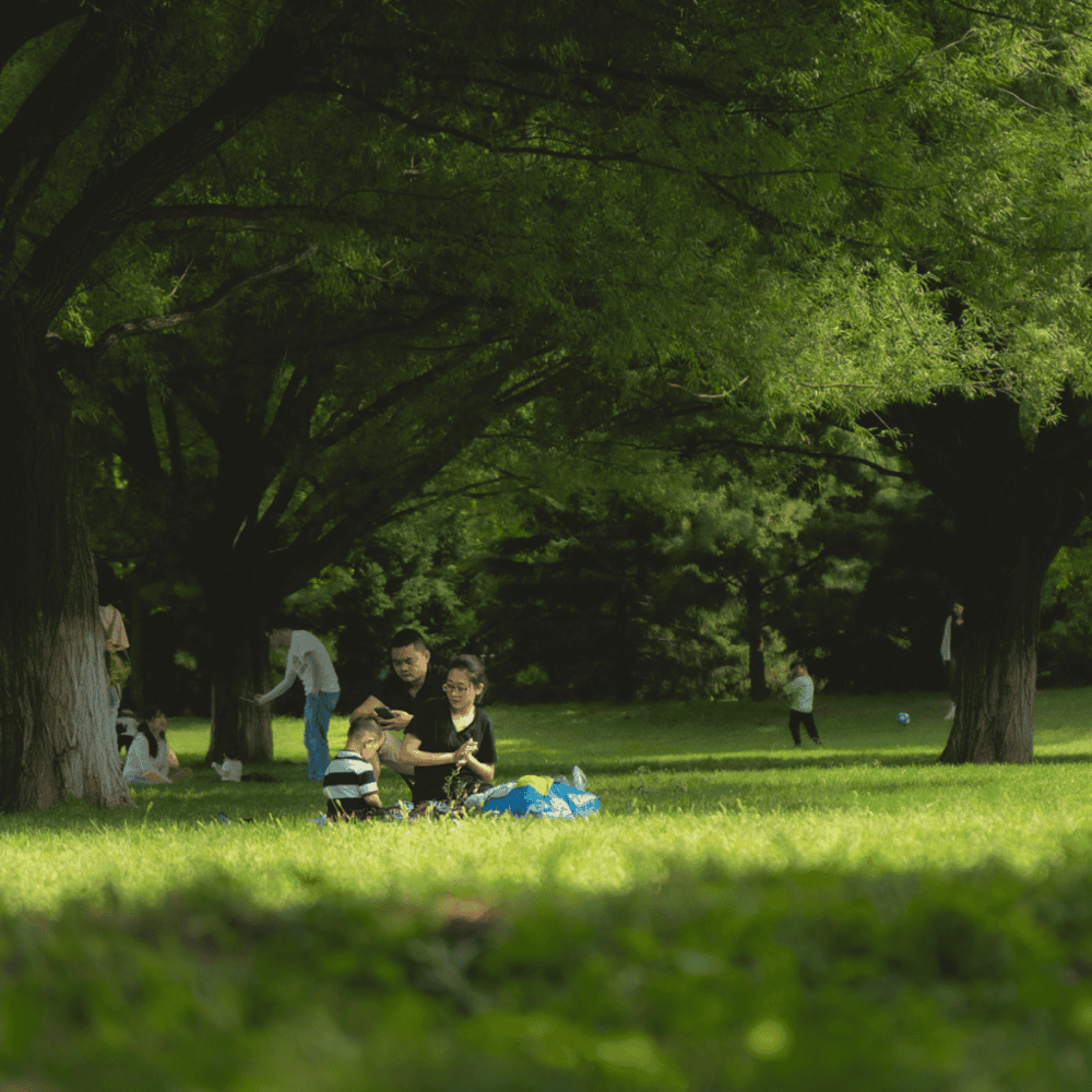 Jessica Clinton Park