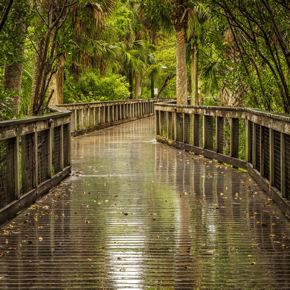 Riverwalk Boardwalk