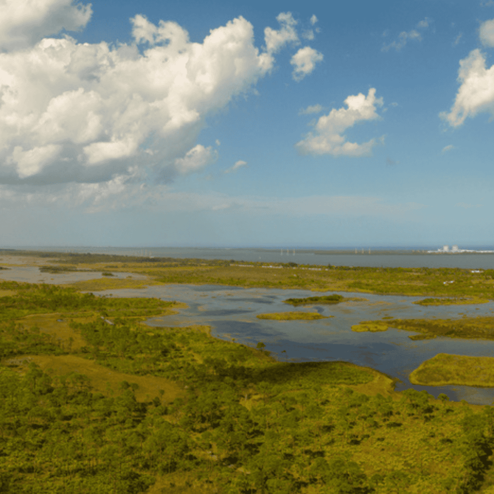 Savannas Preserve State Park