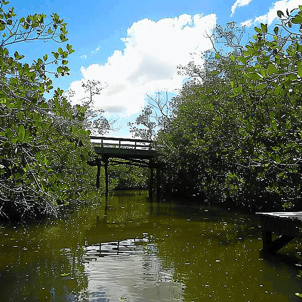 St. Lucie Inlet Preserve State Park
