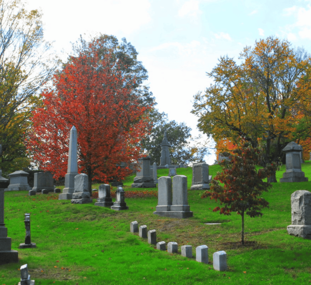 Swan Point Cemetery