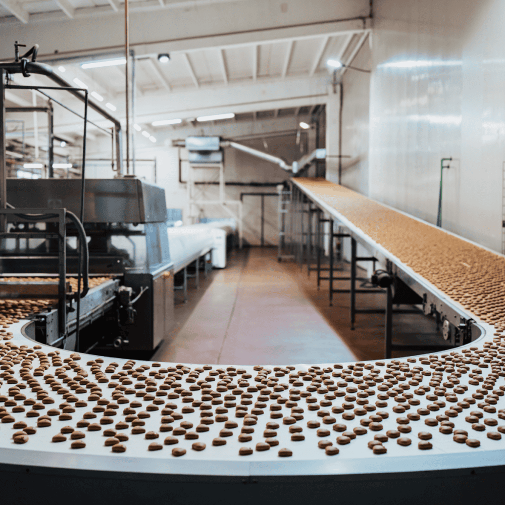 Explore the Videri Chocolate Factory