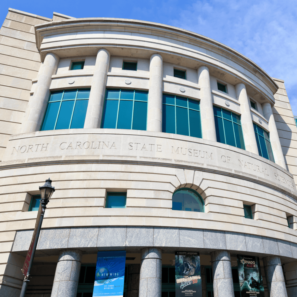Learn at the North Carolina Museum of Natural Sciences