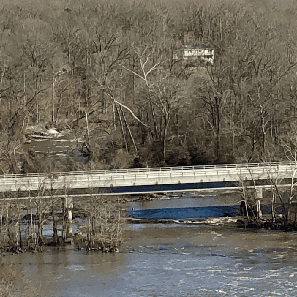 Meander through the Neuse River Trail