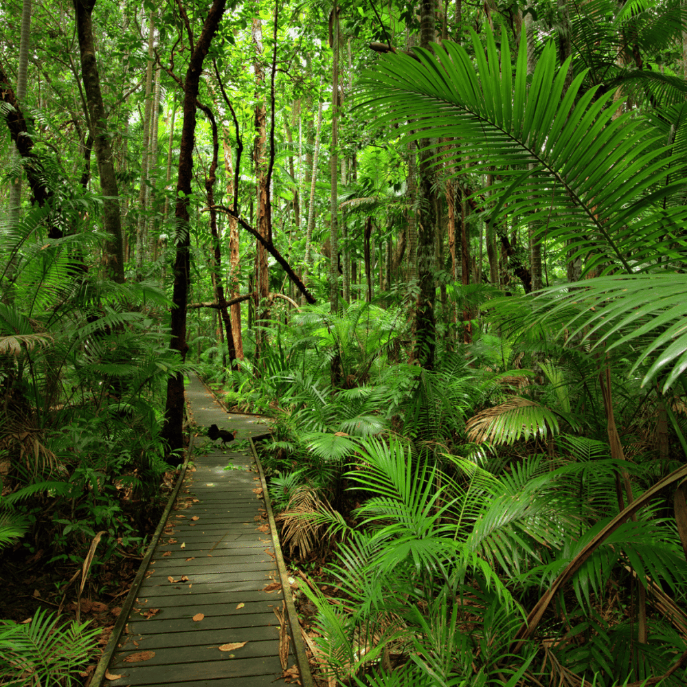 Ponder at Juniper Level Botanic Garden