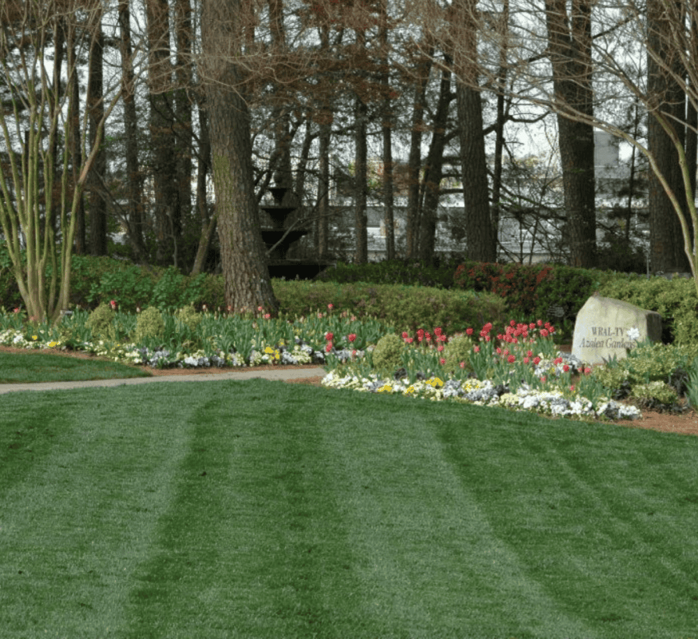 Relax in the WRAL Azalea Garden