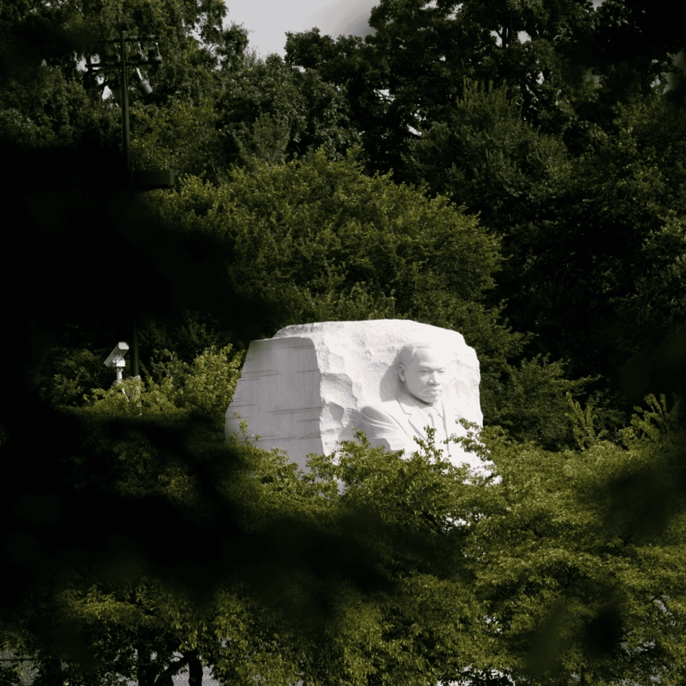 Stroll along the Dr. Martin Luther King, Jr. Memorial Gardens