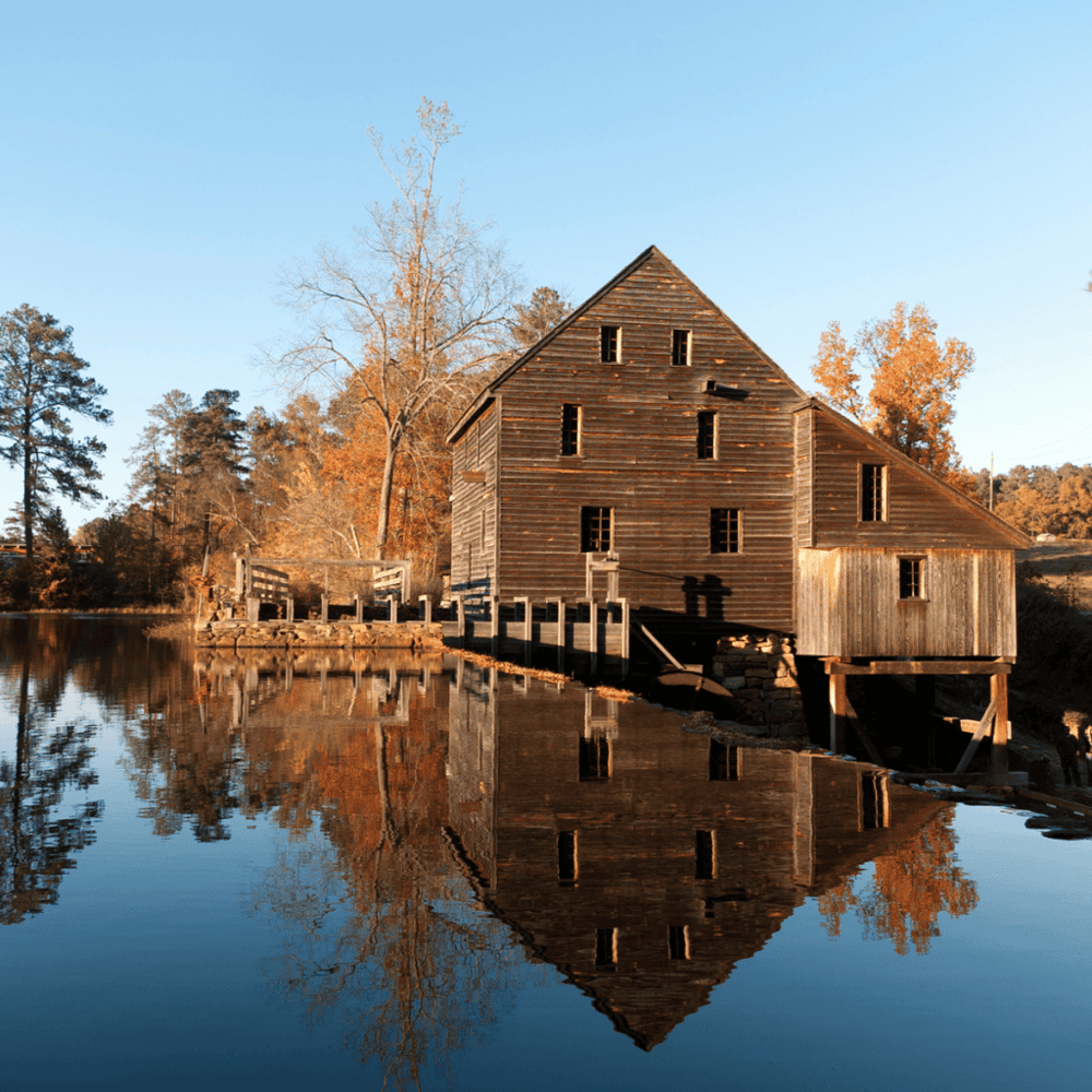 Unwind in the Historic Yates Mill County Park