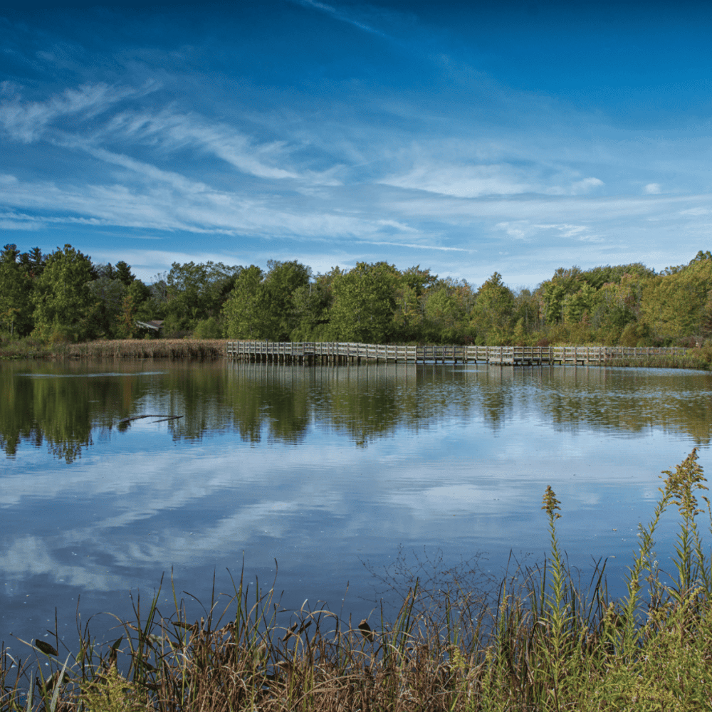 Embrace serenity at Annie Louise Wilkerson, MD Nature Preserve