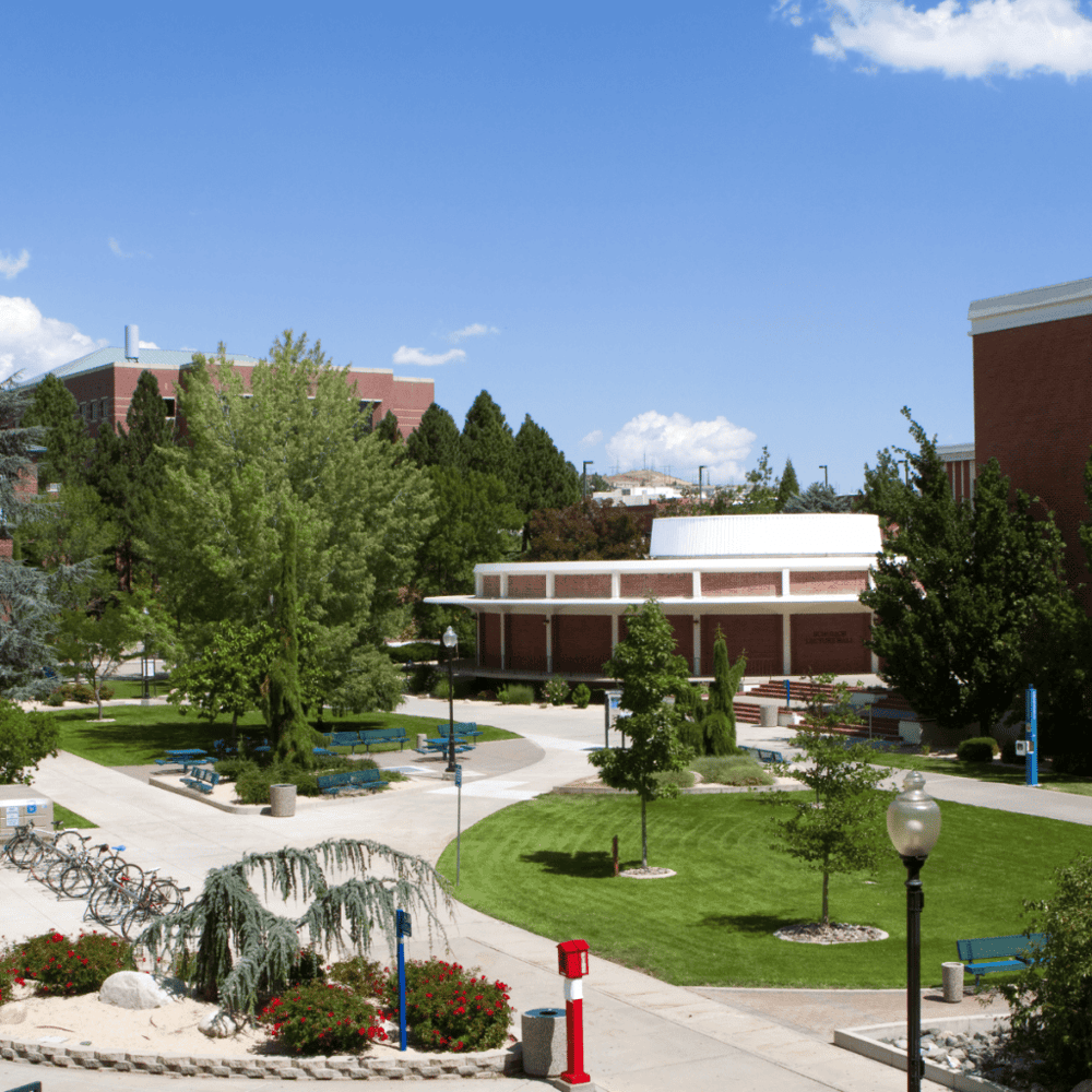 University of Nevada