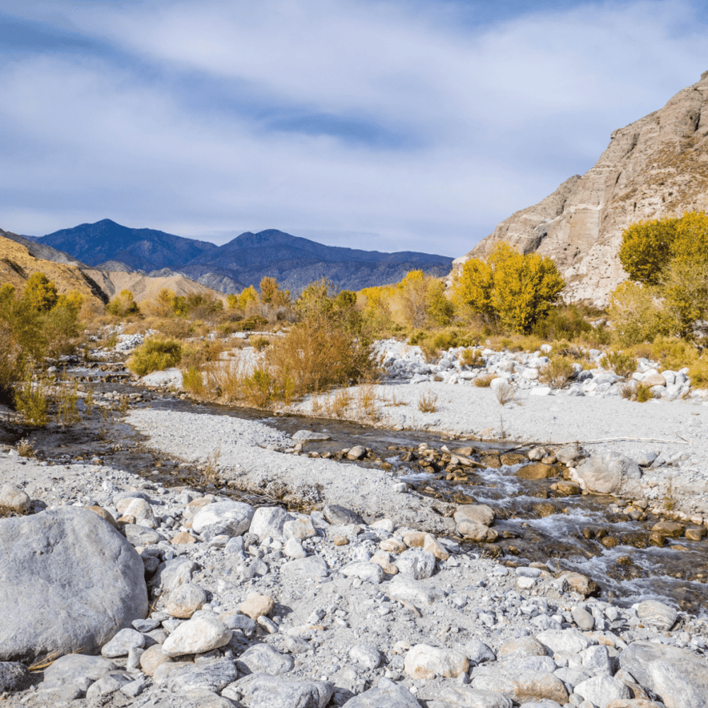 Whitewater Preserve