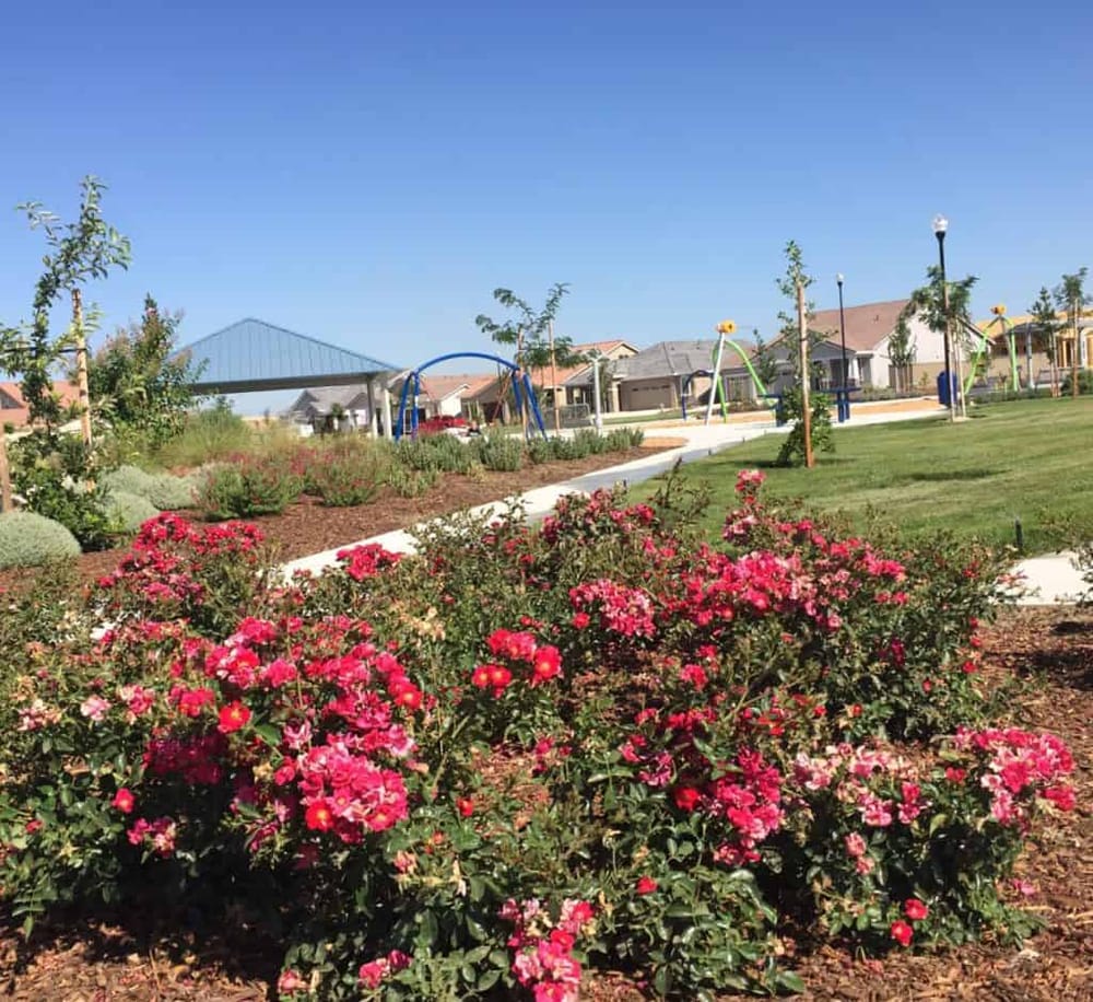 Elizabeth Jane Fiddyment Park