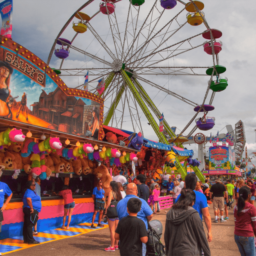 Minnesota State Fair