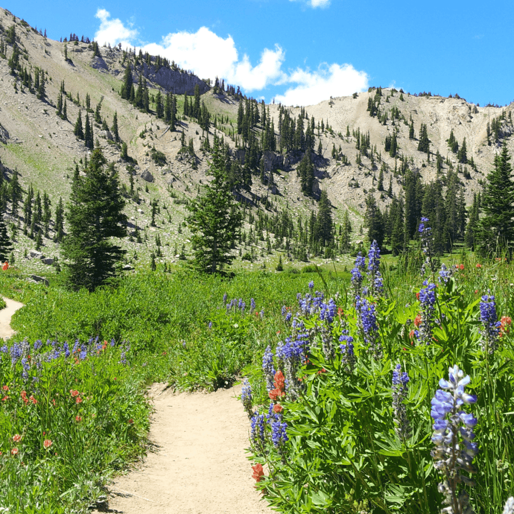 Big Cottonwood Canyon