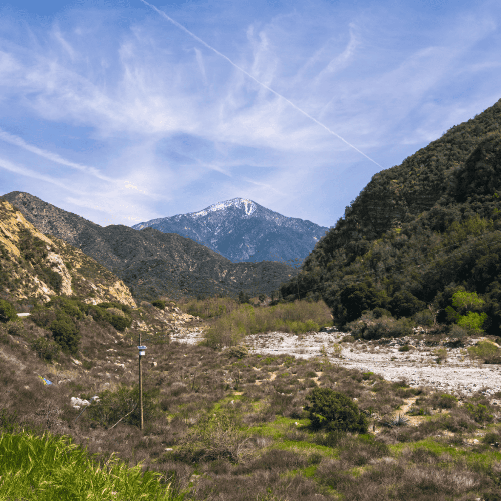 San Bernardino National Forest