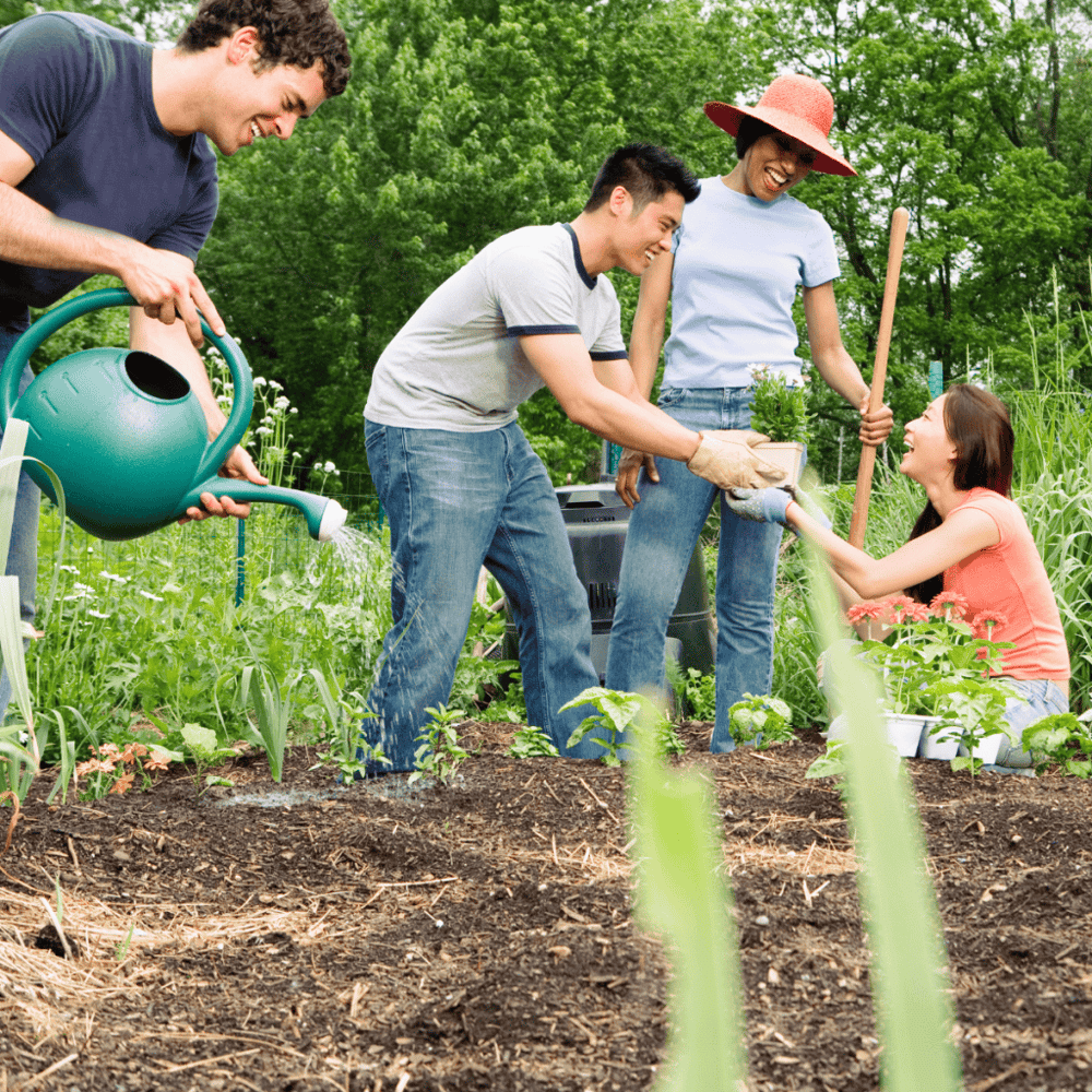 Santa Ana Community Garden