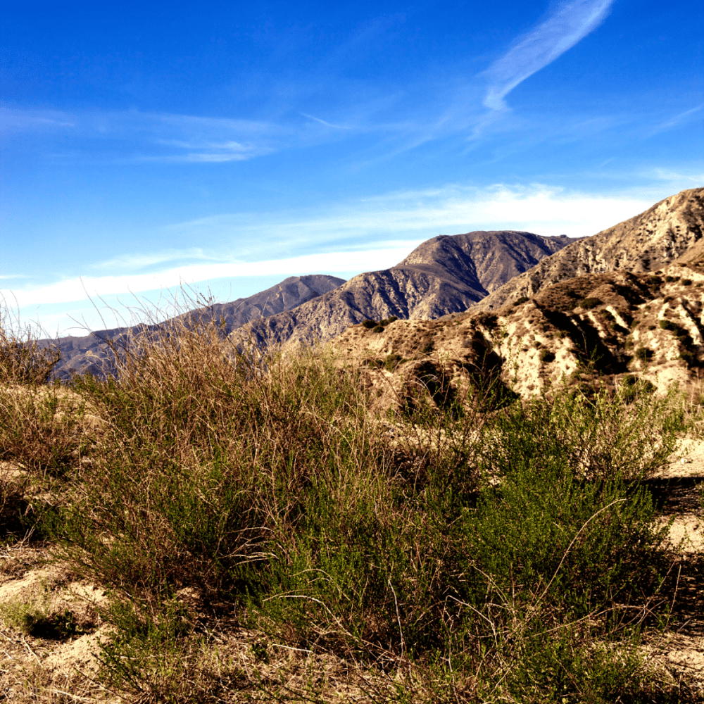 Placerita Canyon Nature Center