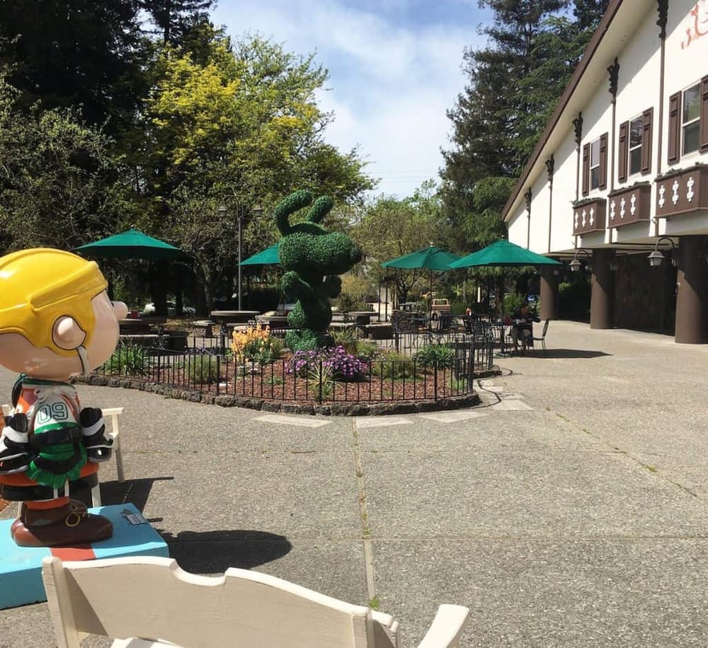 Redwood Empire Ice Arena