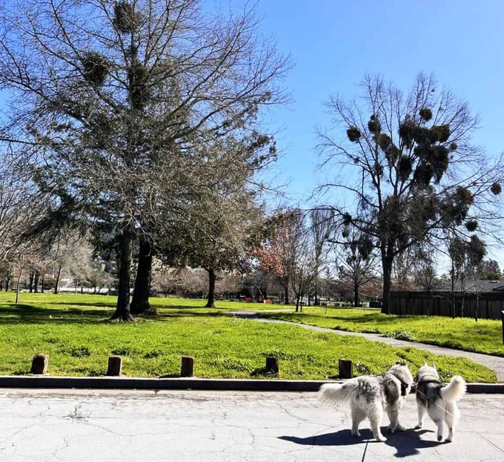 Rincon Valley Community Park