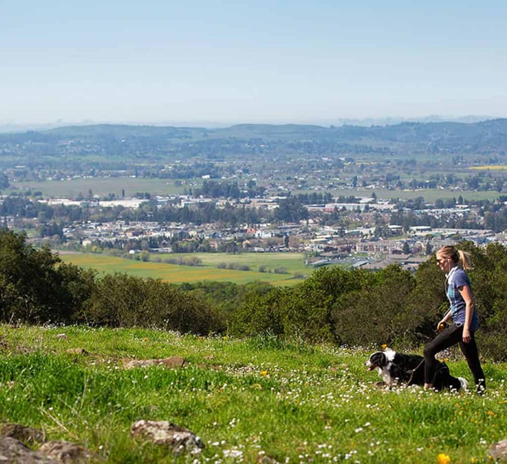 Taylor Mountain Regional Park