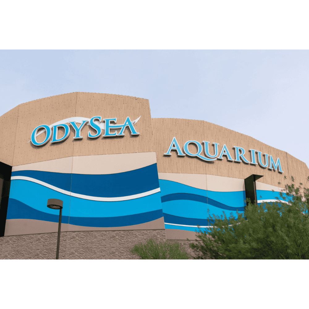 OdySea Aquarium