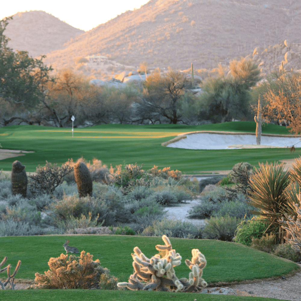 Scottsdale Golf