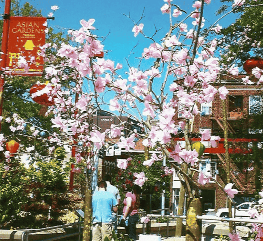 Asian Gardens of Shreveport