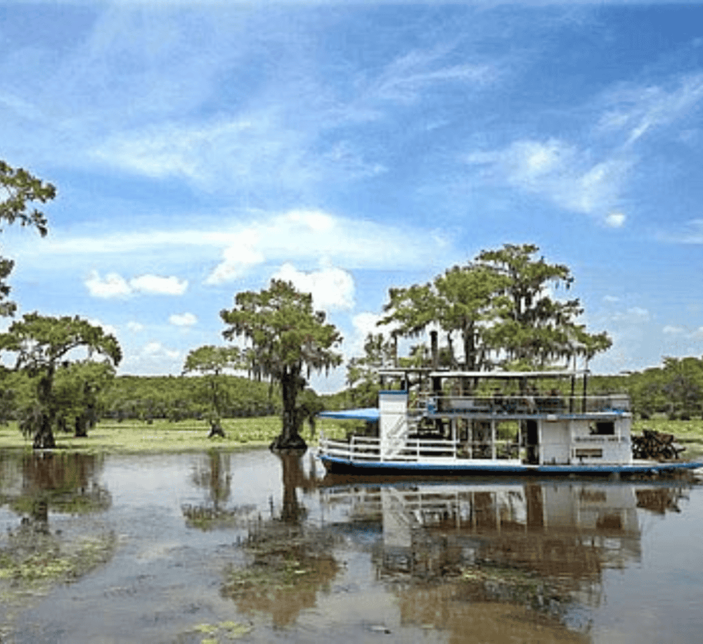 Captain Ron’s Swamp Tours
