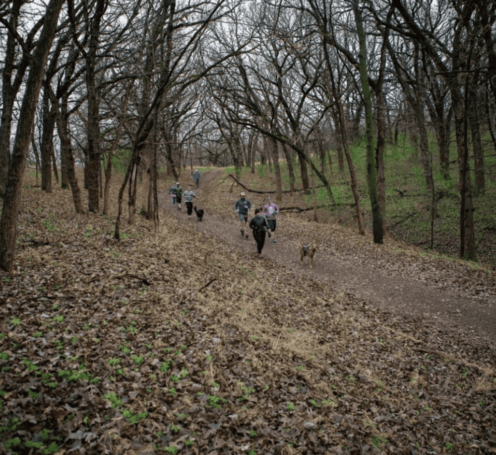 Good Earth State Park at Blood Run