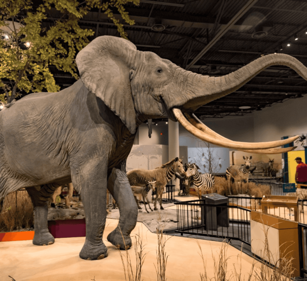 Great Plains Zoo & Delbridge Museum of Natural History