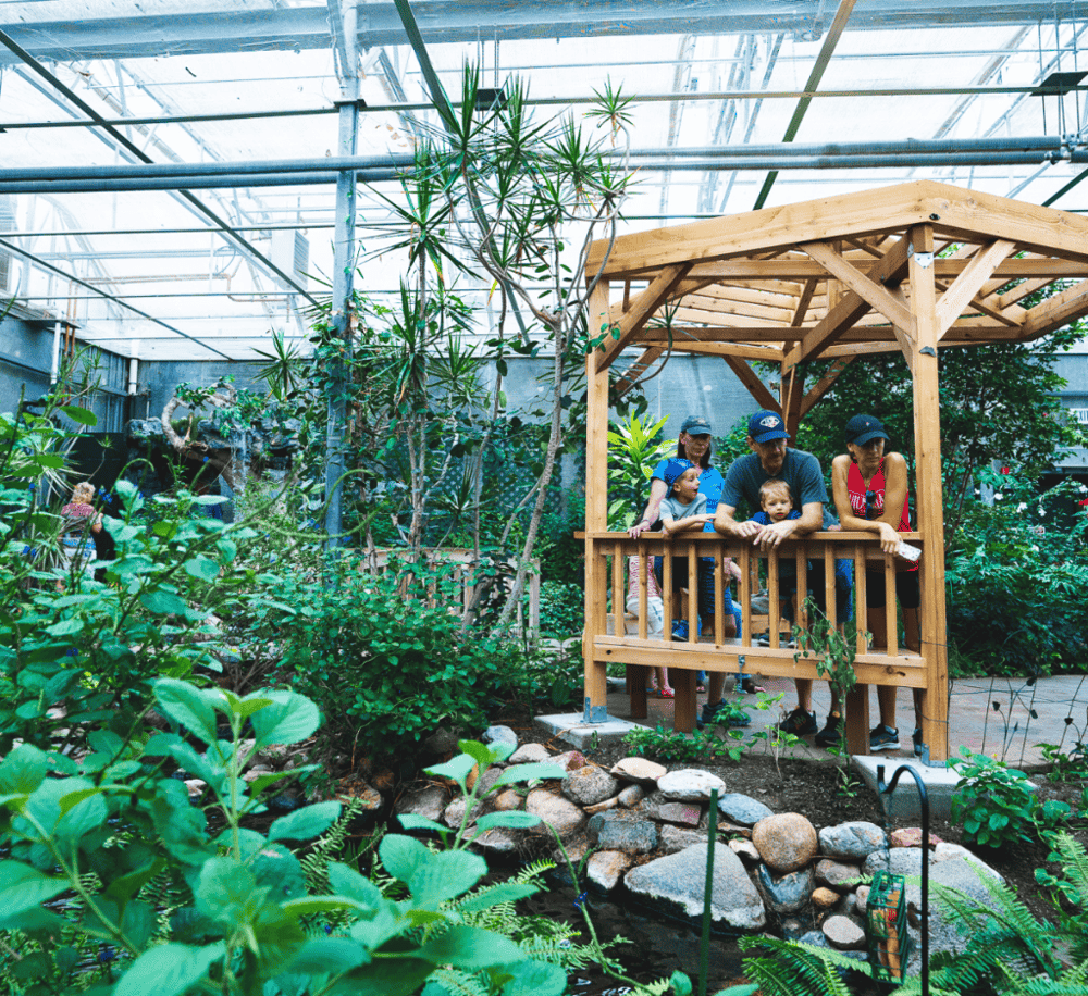 Butterfly House & Aquarium