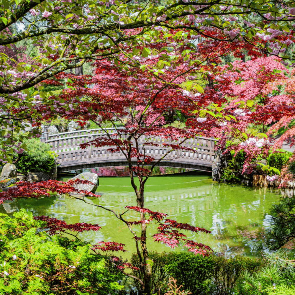Manito Park and Botanical Gardens
