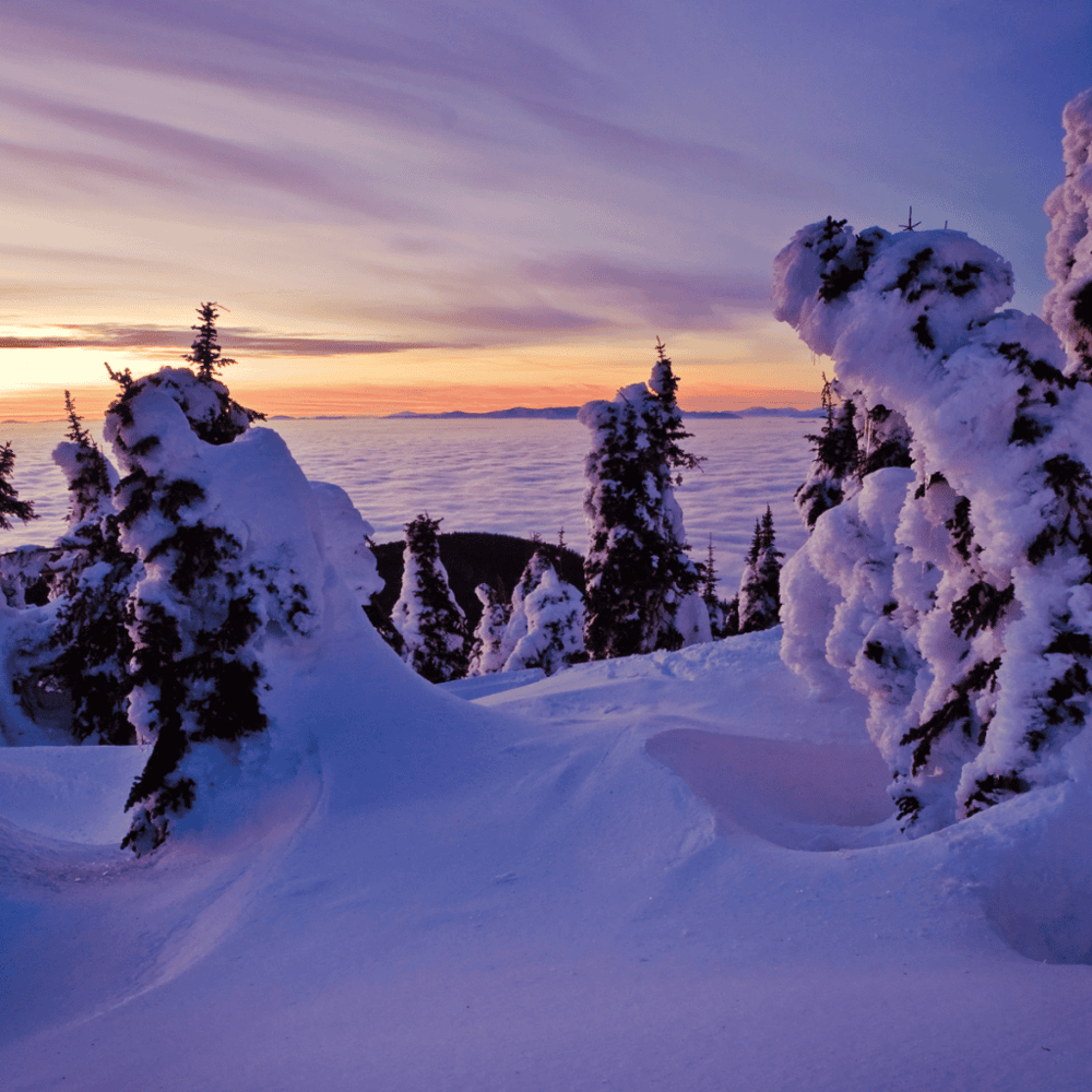Mount Spokane State Park