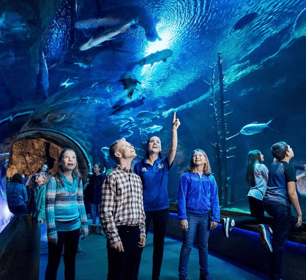 Wonders of Wildlife National Museum & Aquarium