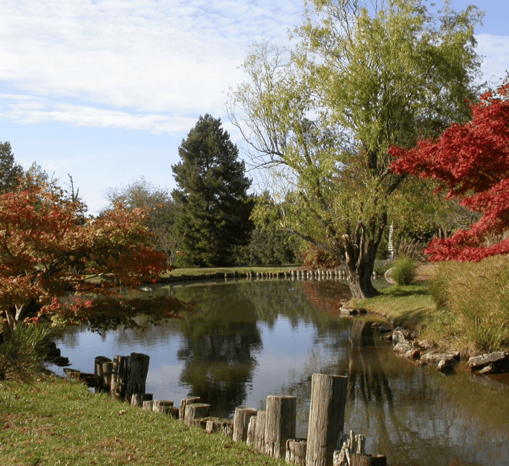 Mizumoto Japanese Stroll Garden