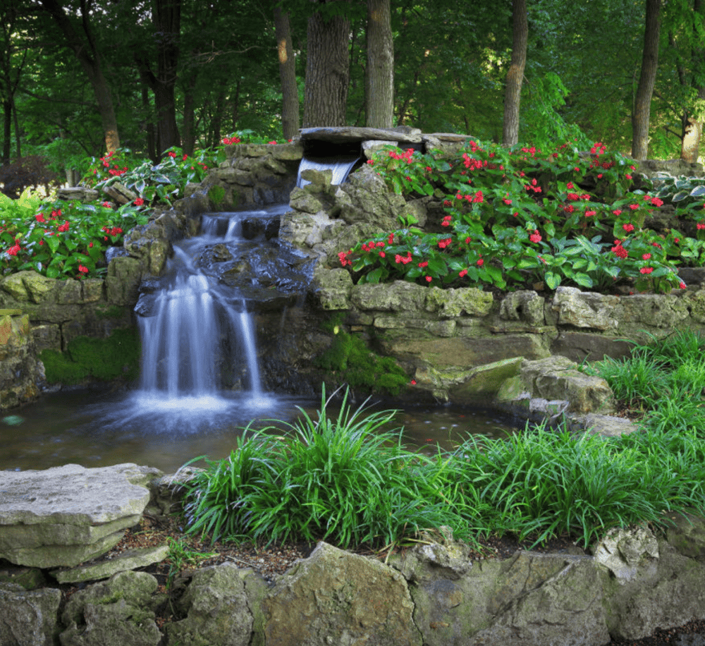 Springfield Botanical Gardens