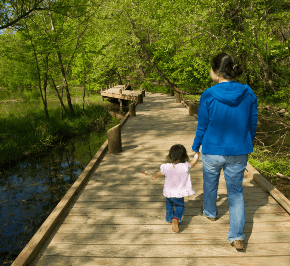 Springfield Conservation Nature Center