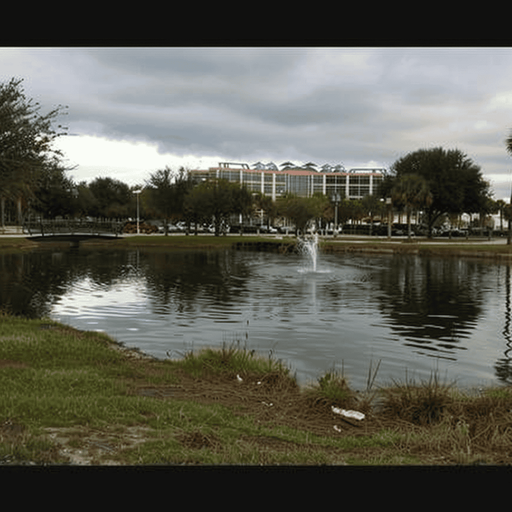 Ted Phillips Wood Ibis Park