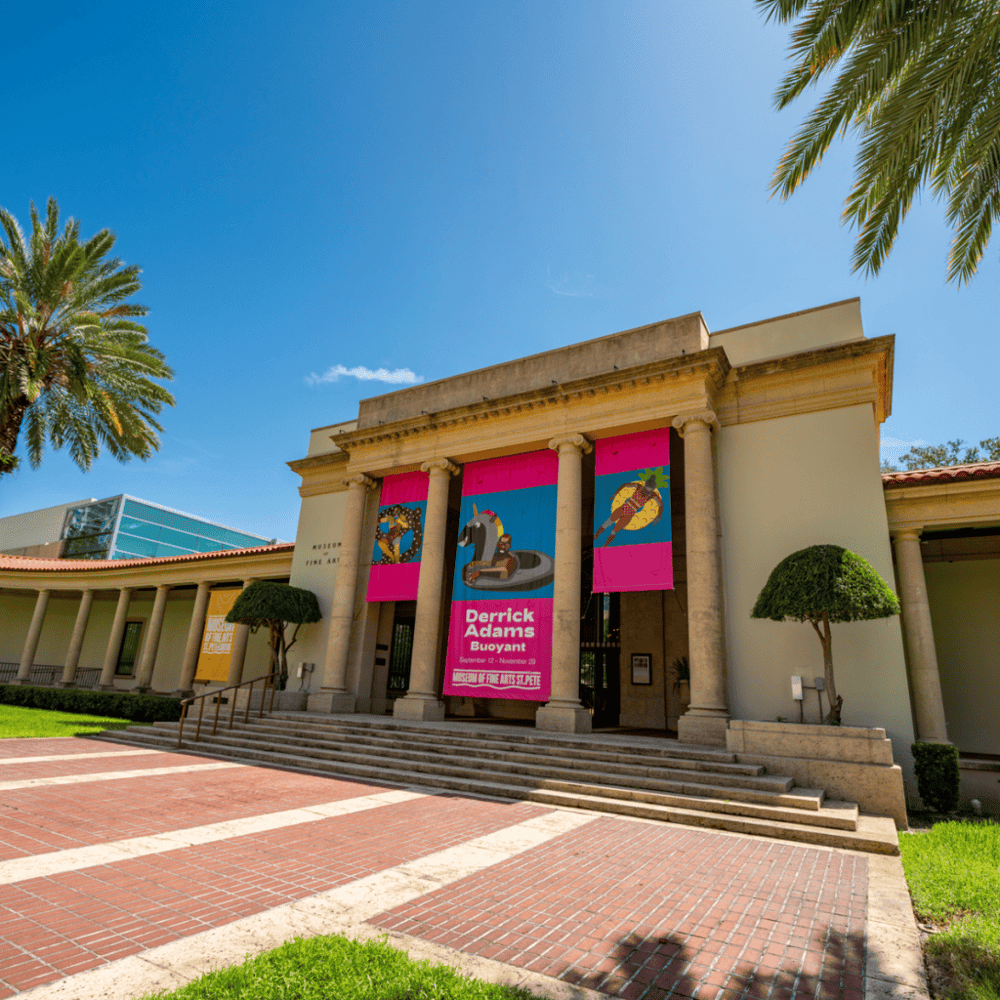 The Museum of Fine Arts