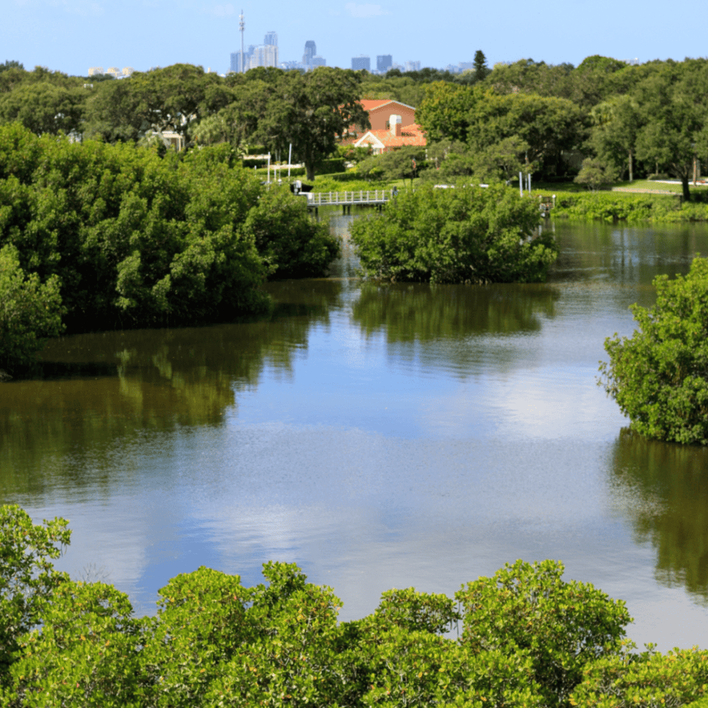 Weedon Island Preserve