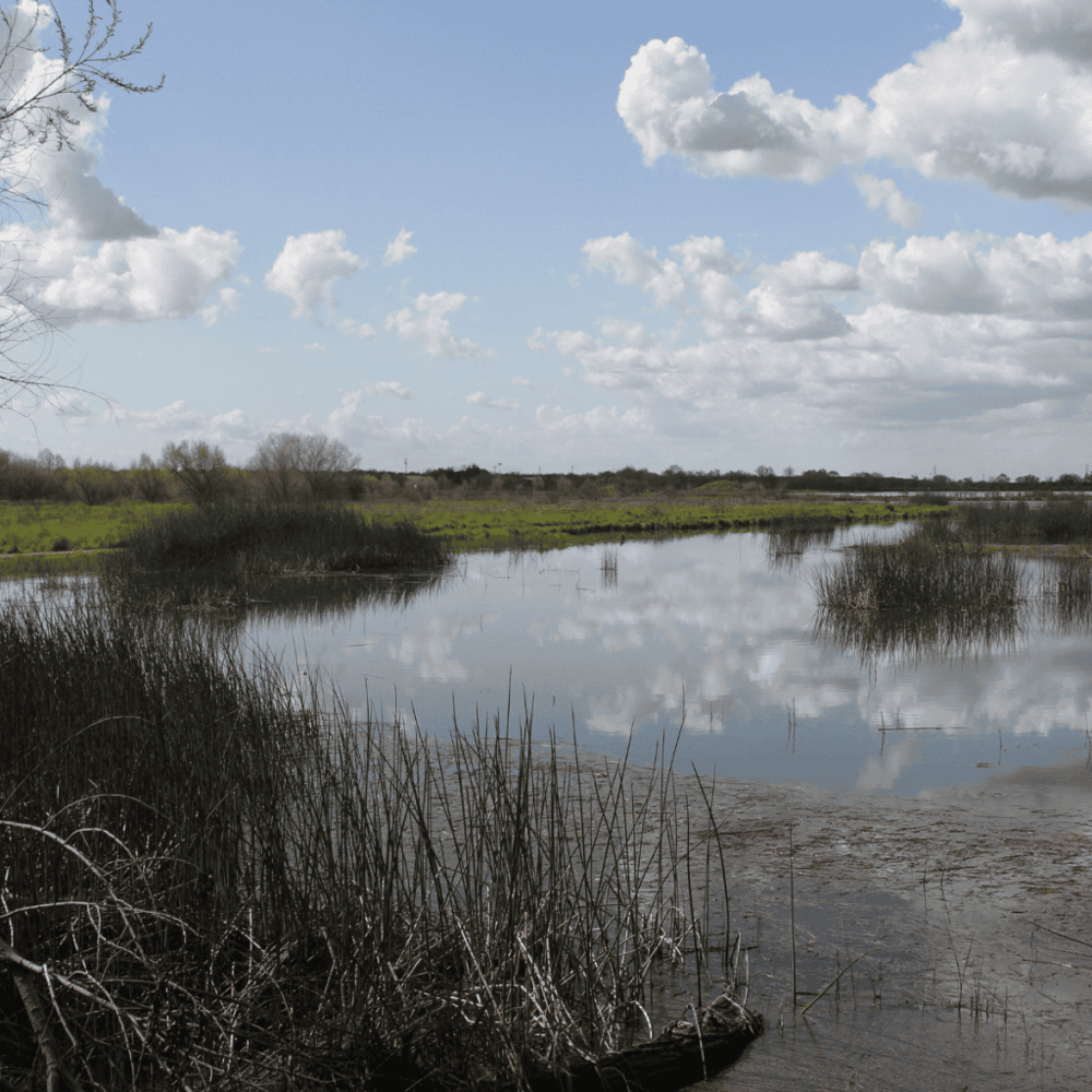 San Joaquin River National Wildlife Refuge