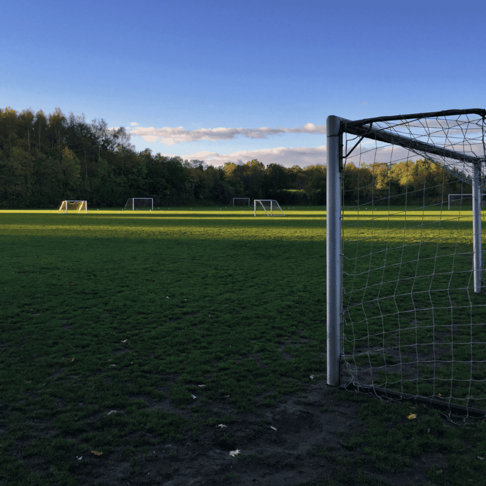 Stribley Community Park