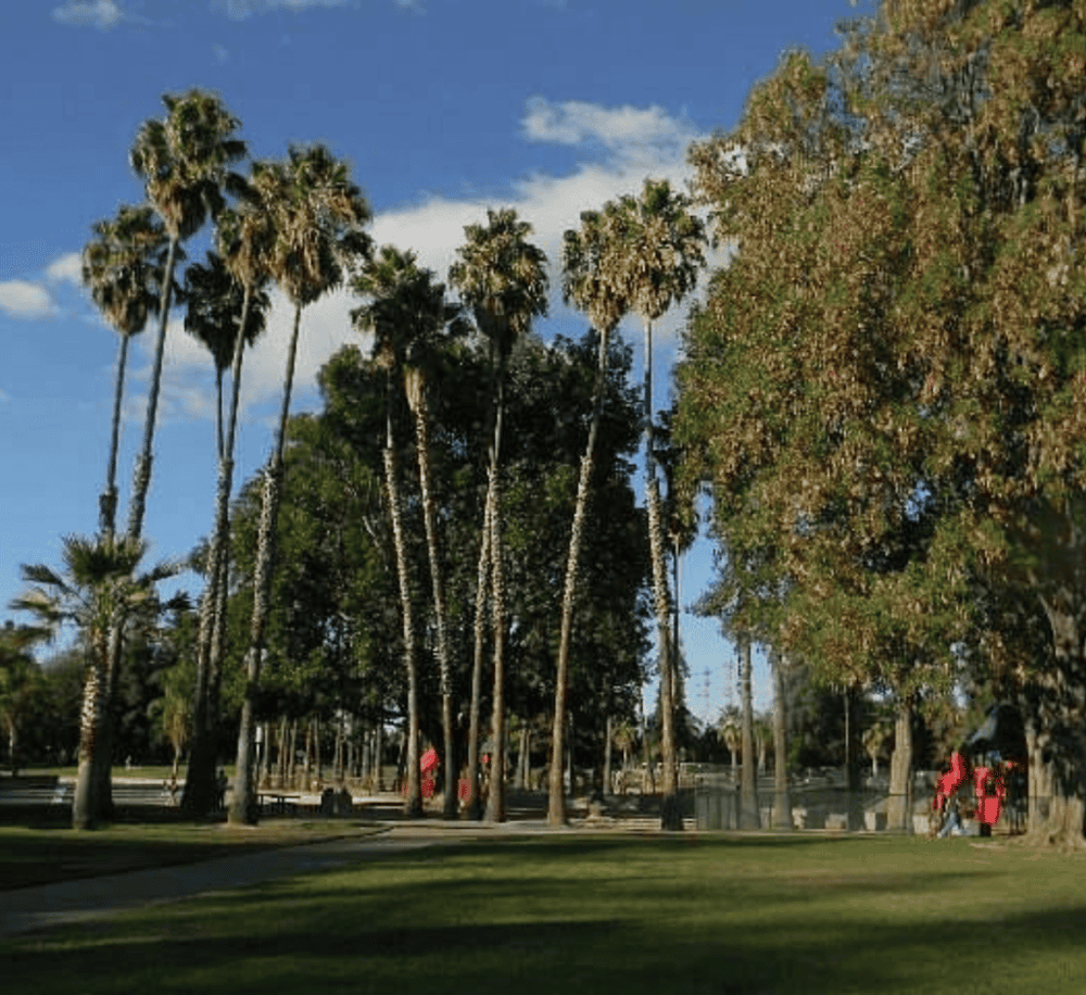 Las Palmas Park