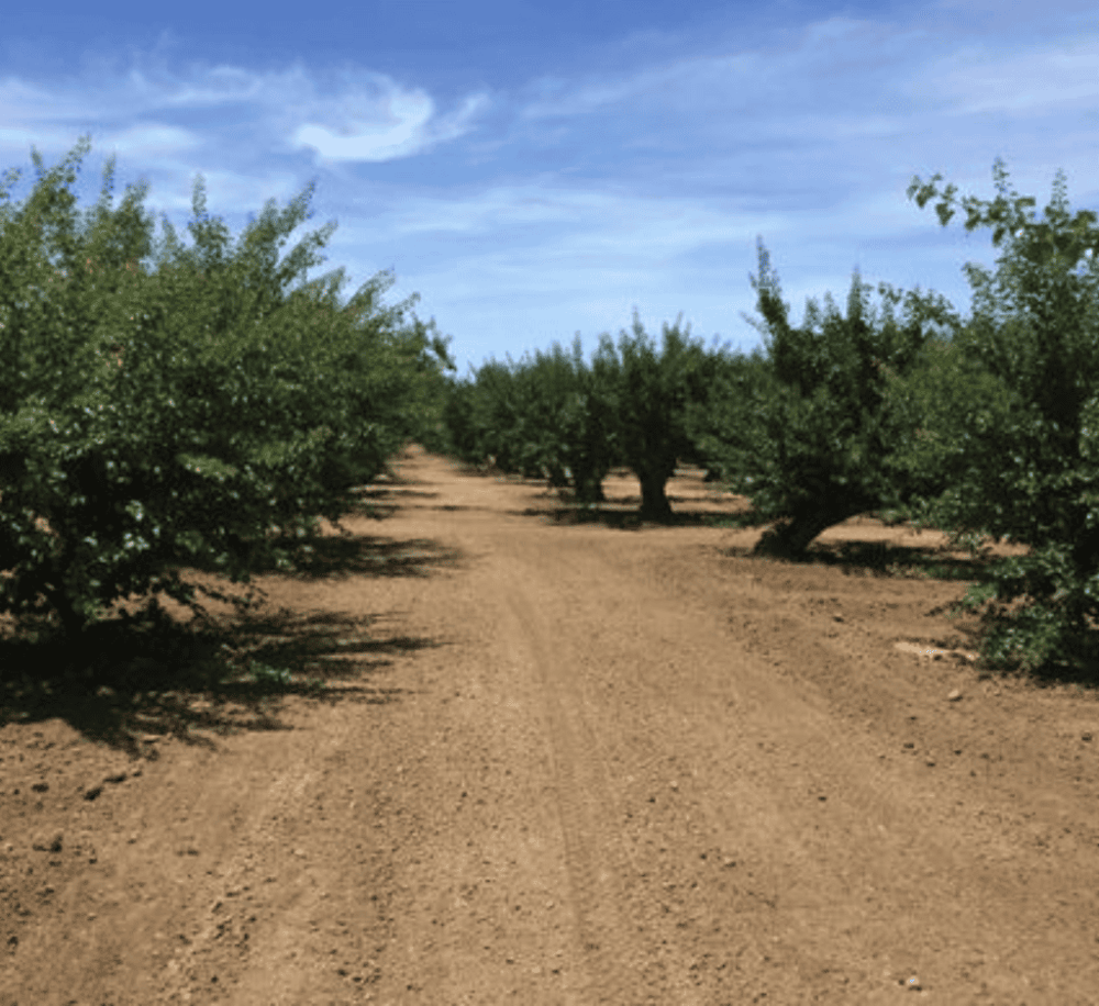 Orchard Heritage Park