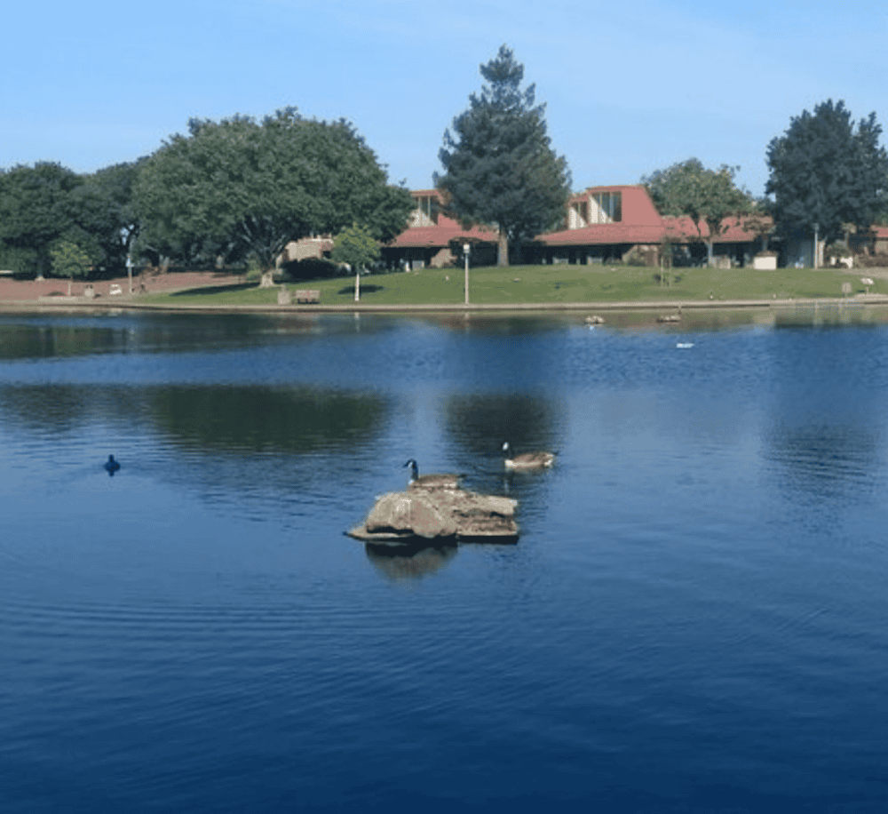 Sunnyvale Community Center Park