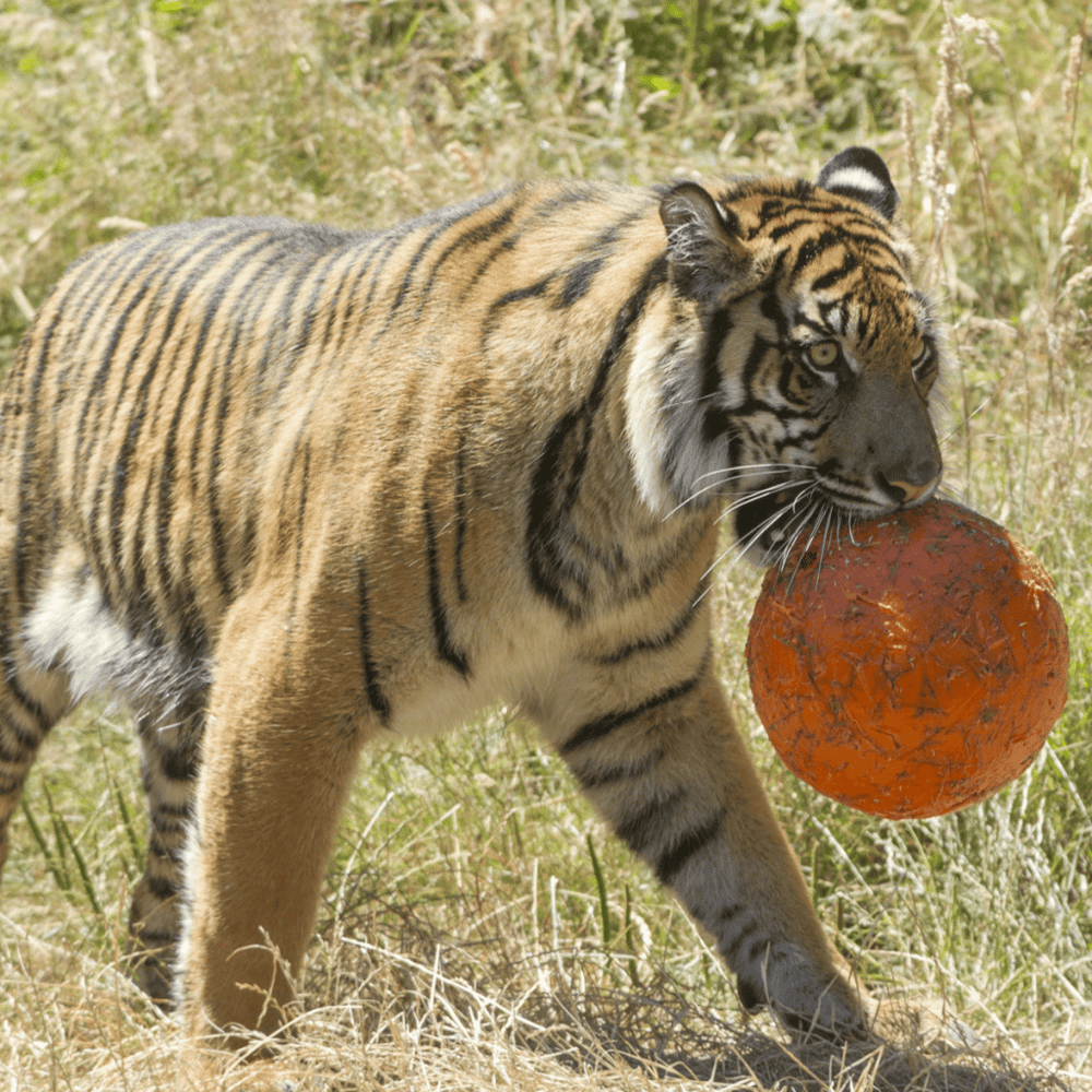 Point Defiance Zoo & Aquarium