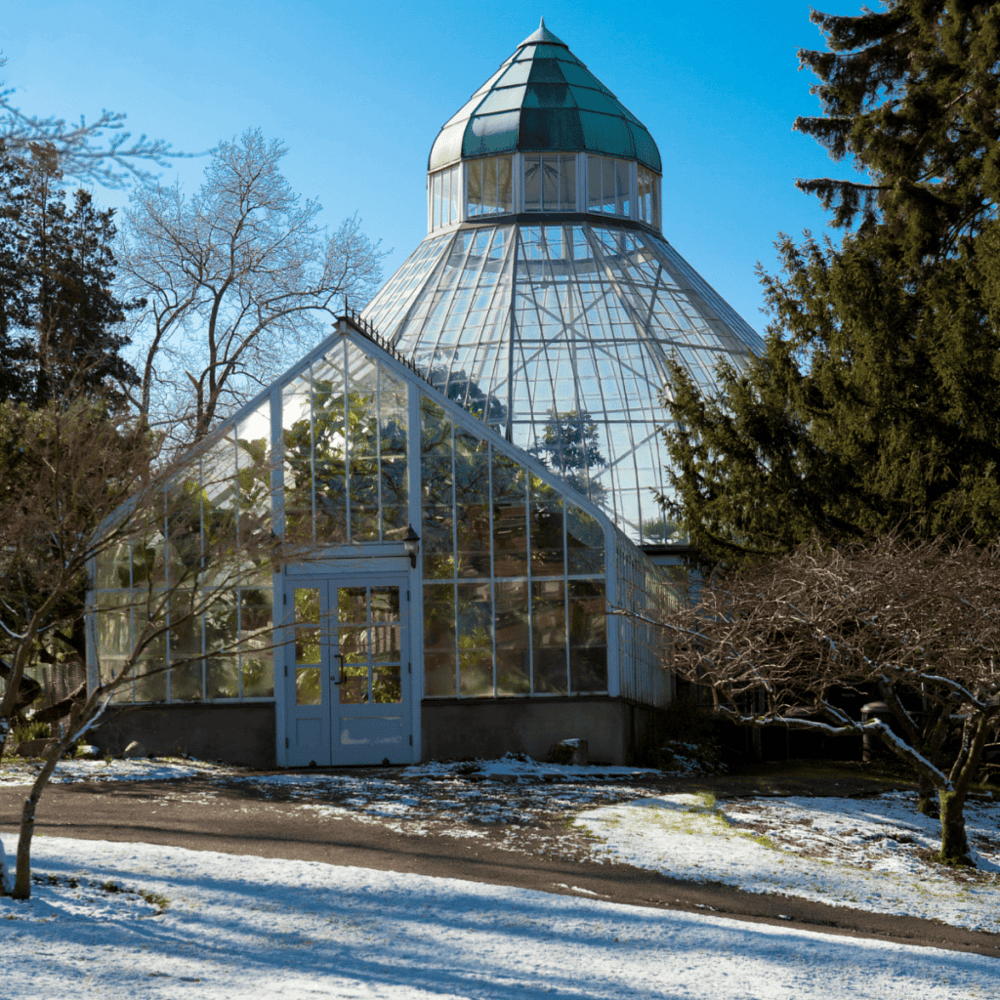 W.W. Seymour Botanical Conservatory