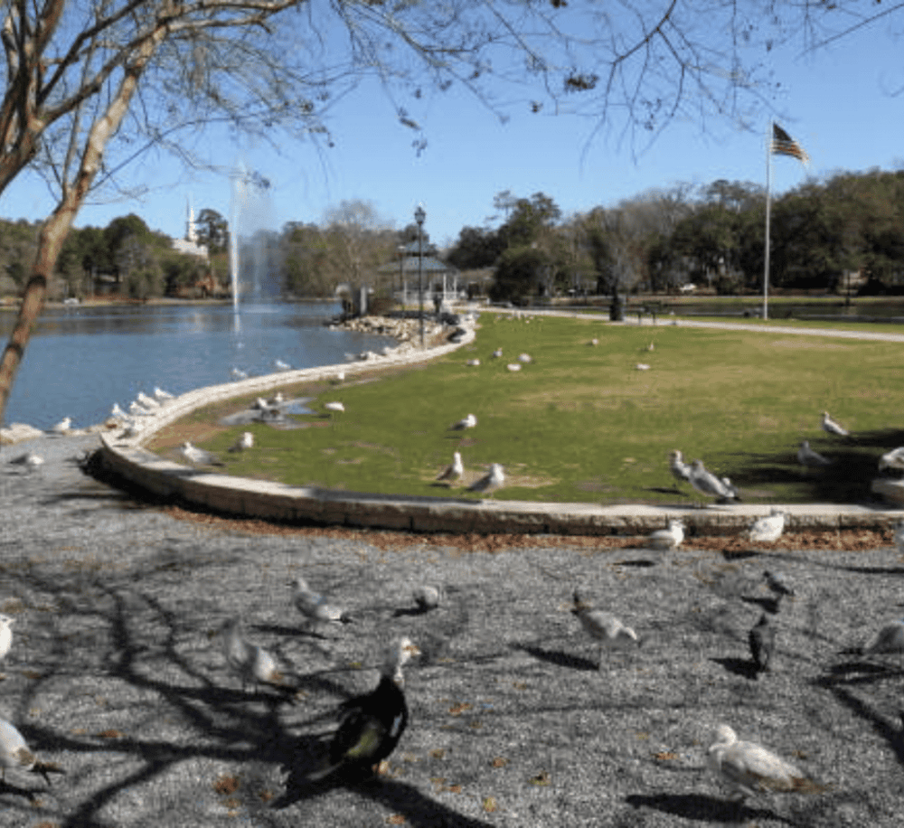Lake Ella & Fred Drake Park